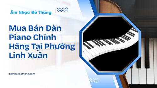 Mua Bán Đàn Piano Chính Hãng Tại Phường Linh Xuân