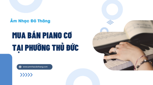 Mua Bán Piano Cơ Tại Phường Thủ Đức