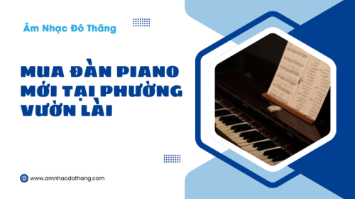 Mua Đàn Piano Mới Tại Phường Vườn Lài